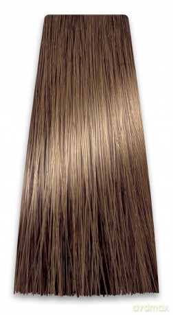 CHANT.PROF 100 g farba COLORART nr 8/00