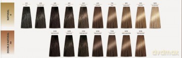 CHANT.PROF 100 g farba COLORART nr 8/00