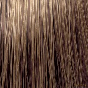 CHANT.PROF 100 g farba COLORART nr 8/00