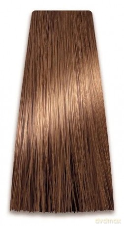 CHANT.PROF 100 g farba COLORART nr 8/00
