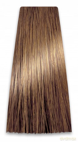 CHANT.PROF 100 g farba COLORART nr 9/00