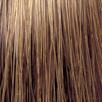 CHANT.PROF 100 g farba COLORART nr 9/00