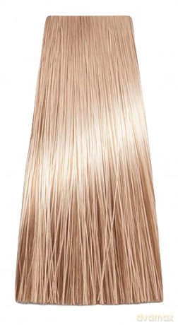 CHANT.PROF 100 g farba COLORART nr 9/03