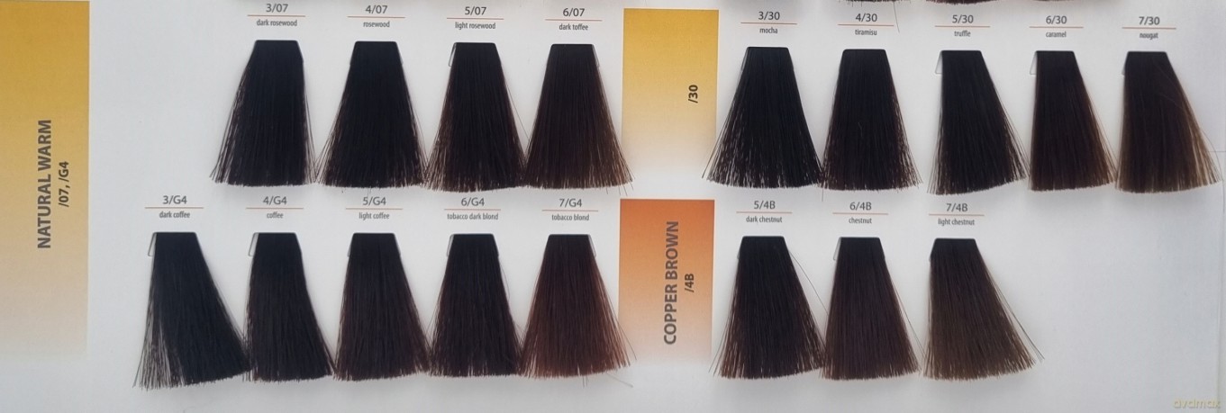 CHANT.PROF 100 g farba COLORART nr 9/03