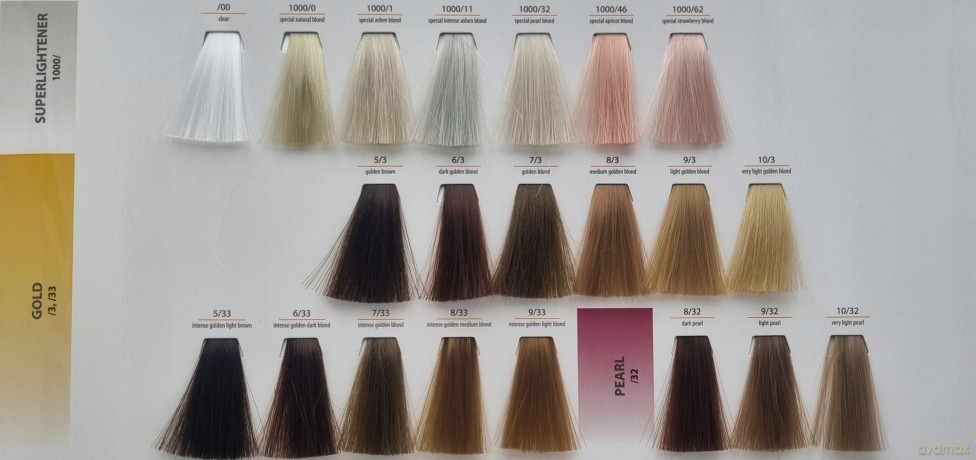 CHANT.PROF 100 g farba COLORART nr 9/03