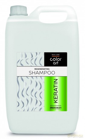 PROSALON PROFESSIONAL Basic Care Color Art Regenerujący Szampon do włosów - Keratine 5000ml