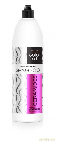 PROSALON PROFESSIONAL Basic Care Color Art Wzmacniający Szampon do włosów - Ceramides 1000ml