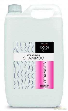 PROSALON PROFESSIONAL Basic Care Color Art Wzmacniający Szampon do włosów - Ceramides 5000ml