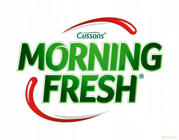 Płyn do mycia naczyń Morning Fresh Kwiatowy 0,9 l