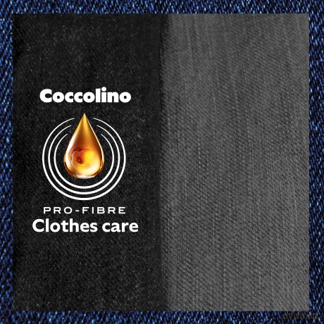 Coccolino Creations Purple Orchid & Blueberries płyn do płukania tkanin