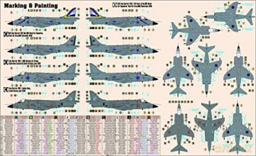 D-101 Harrier FRS.150 Years 800 NAS