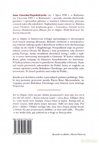 Jest tu chłopiec - Anna Lisowska-Niepokólczycka [KSIĄŻKA]