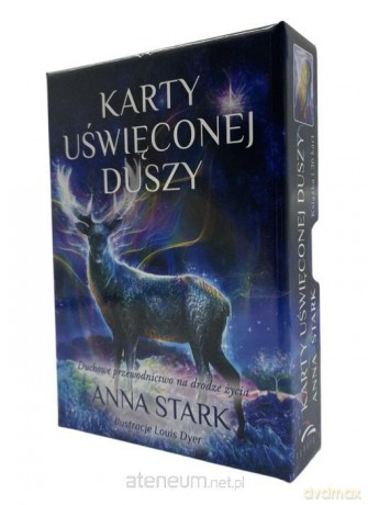 Karty Uświęconej Duszy [KSIĄŻKA]
