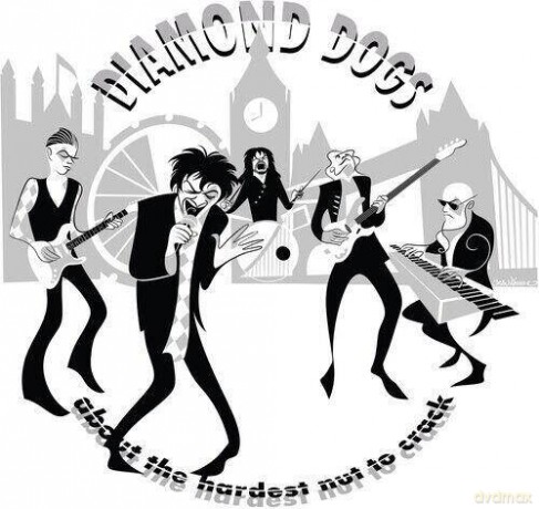 Diamond Dogs: About The Hardest Nut To Crack [CD]