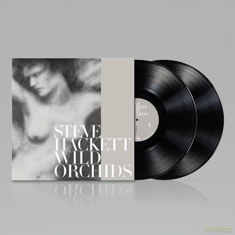 Steve Hackett: Wild Orchids (Vinyl Re-issue 2023) [2xWinyl]