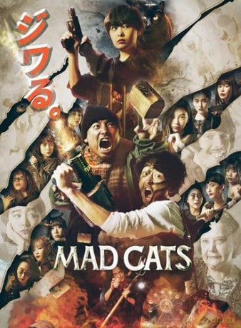 Mad Cats (Mediabook) [Blu-Ray]+[DVD]