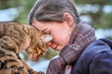 A Cat's Life (Mru i ja: wielka przygoda na cztery łapy) [Blu-Ray]