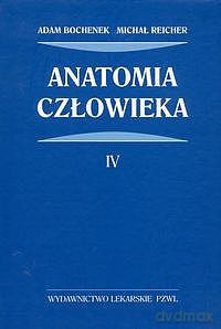Anatomia człowieka [KSIĄZKA]