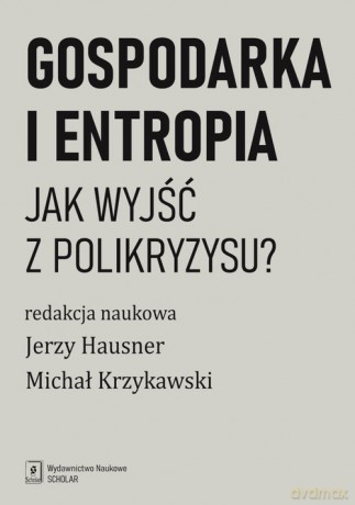 Gospodarka i entropia [KSIĄZKA]