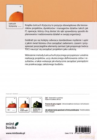 Łańcuch krytyczny [KSIĄZKA]