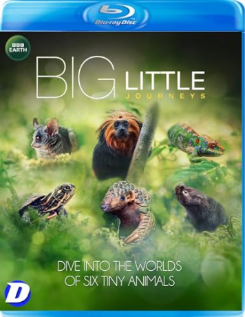 Big Little Journeys [Blu-Ray]