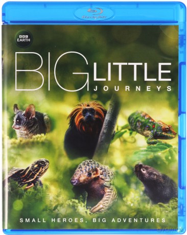 Big Little Journeys [Blu-Ray]