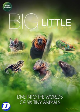 Big Little Journeys [DVD]