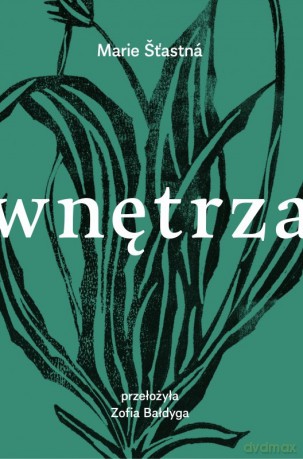 Wnętrza - Marie Stastna [KSIĄŻKA]