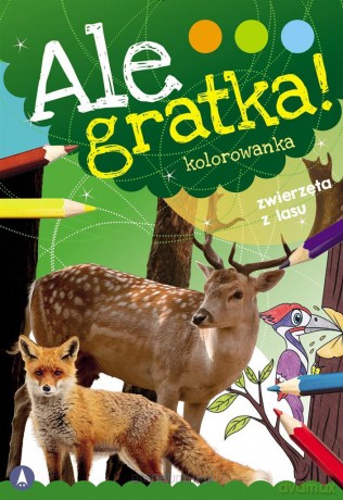 Ale gratka! Zwierzęta z lasu [KSIĄŻKA]