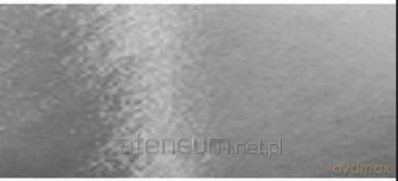 Karton metaliczny srebrny 250g B4 5 arkuszy