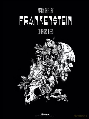 Mary Shelley. Frankenstein - Georges Bess [KOMIKS]