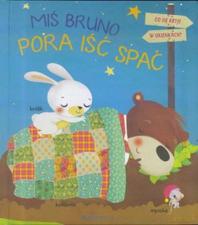 Miś Bruno. Pora iść spać [KSIĄŻKA]