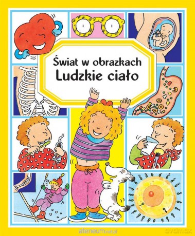 Świat w obrazkach. Ludzkie ciało - Emilie Beaumont, R. Simon [KSIĄŻKA]