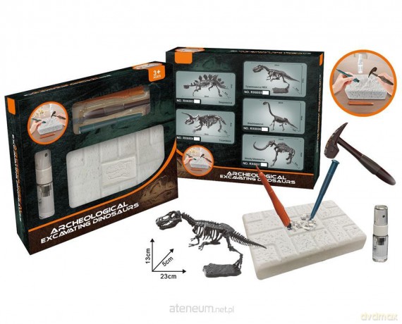 Wykopaliska paleontolog szkielet dino
