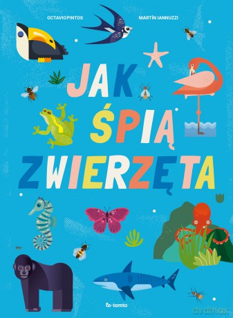 Jak śpią zwierzęta - Octavio Pintos, Martin Lannuzzi [KSIĄŻKA]