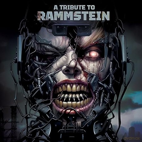 A Tribute To Rammstein [Winyl]