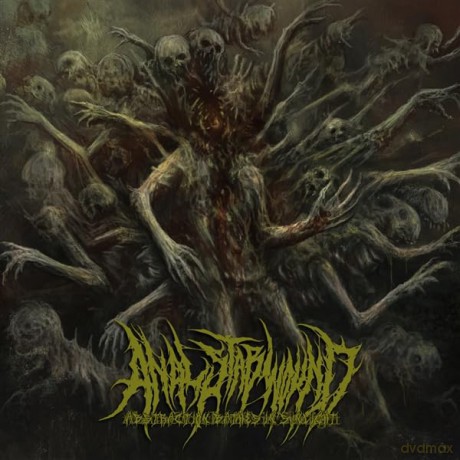 Anal Stabwound: Abstraction Bathes In Sunlight [CD]