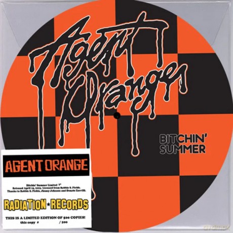 Agent Orange: Bitchin Summer (Picture) [Winyl]