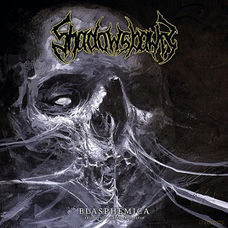 Shadowspawn: Blasphemica - Absolution Carved From Flesh [Winyl]