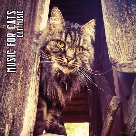 Music For Cats: Cat Music (Limited) [CD]