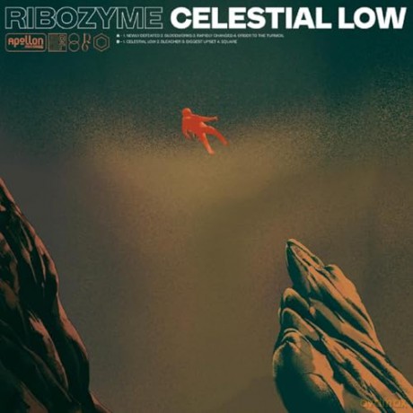 Ribozyme: Celestial Low (Orange/Black Marbled) [Winyl]