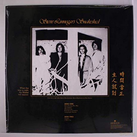 Steve Linnegars Snakeshed: Classic Epics [Winyl]