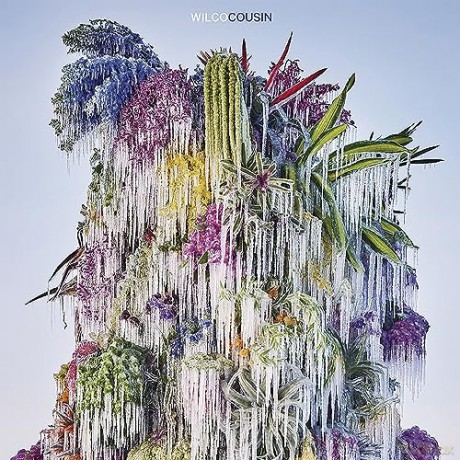 Wilco: Cousin [CD]