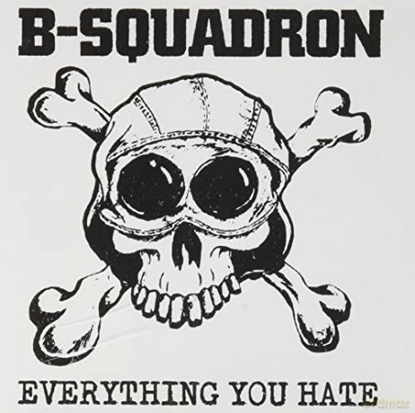B Squadron: Everything You Hate [CD]