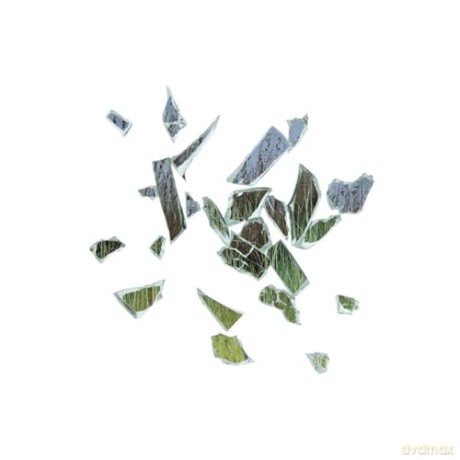 These New Puritans: Field Of Reeds (10th Anniversary) (Etched) [2xWinyl]