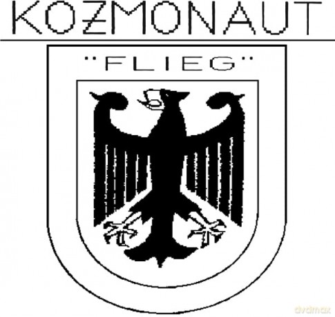 Kozmonaut: Flieg [Winyl]