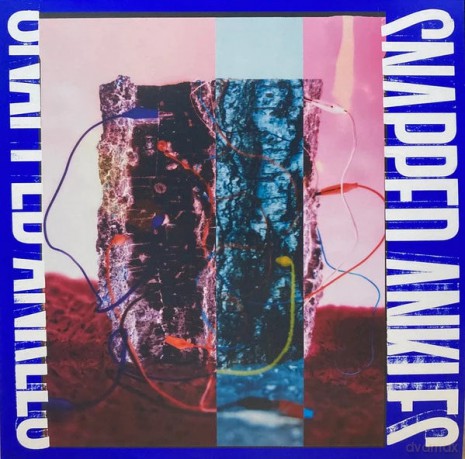 Snapped Ankles: Forest Of Your Problems (Blue/Black Splatter) [Winyl]