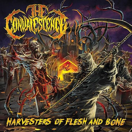 Convalescence: Harvesters Of Flesh And Bone [CD]