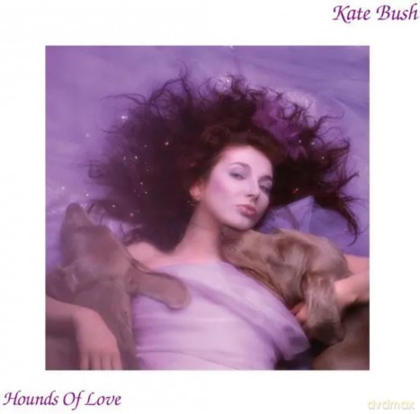 Kate Bush: Hounds of Love (2018 Remaster) [Winyl]
