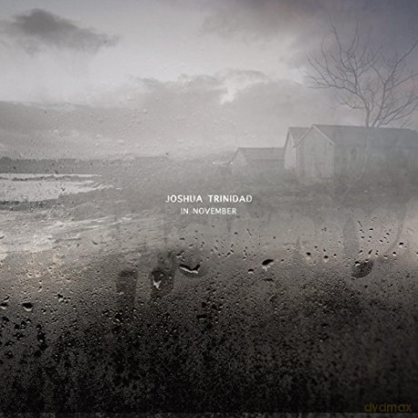 Joshua Trinidad: In November [Winyl]
